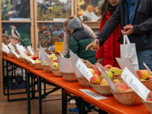 Leichlinger Obstmarkt 2026 – Tradition trifft neue Impulse Joy-Energetix erstmals dabei